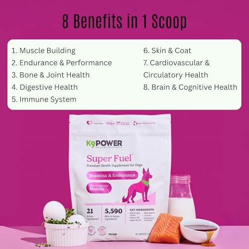 K9Power Super Fuel – Muscle Builder for Working, Performance & Sporting Dogs – Boost Stamina, Recovery & Joint Support – Milk Protein Isolate, Creatine, Salmon Oil, Chondroitin, Probiotic, Kelp & more
