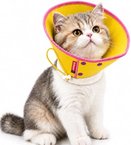 Soft Dog Cone Collar for Dogs & Cats, Adjustable Elizabethan Recovery Collar, Lightweight EPE Material, Post-Surgery Wound Protection (Yellow, S)