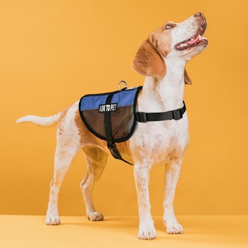 Dogline Ask to Pet Vest Patches – Removable Ask to Pet Patch 2-Pack with Reflective Printed Letters for Support Dog Vest Harness Collar or Leash Size B (1.5" x 4")