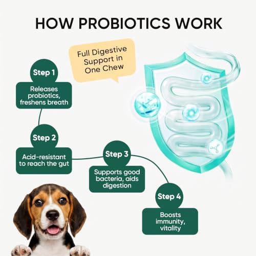 Probiotic Chews for Dogs, Digestive Enzymes & Prebiotics, Relieve Diarrhea, Constipation, Itching & Bad Breath, Support Gut Health & Immunity, Chicken Flavor (200 Ct)