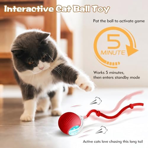 Interactive Cat Ball Toys for Indoor Cats, Upgraded Automatic Cat Toys