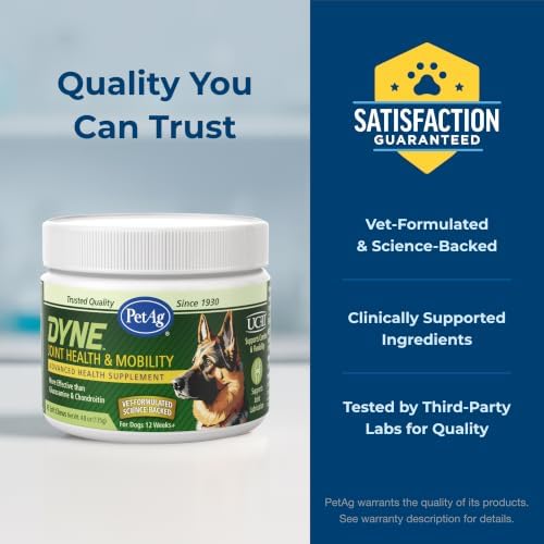 PetAg Dyne Joint Health & Mobility Soft Chews for Dogs | 45 Count