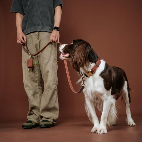 Didog PU Leather Dog Poop Bag Holder, Easy-Pull with Metal Clip, Brown