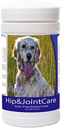 Healthy Breeds English Setter Hip and Joint Care 120 Count