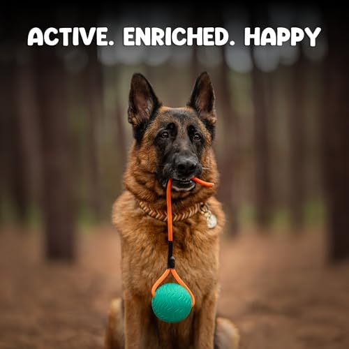 Dog Ball Toy with Rope, Durable EVA Foam Floating Dog Toy, Interactive Fetch & Toss n’ Train Tug Ball for Dogs, Bouncy Pet Ball for Outdoor Indoor Play - Green, Medium