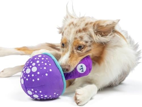 Huxley & Kent Power Plush Squeaky Dog Toy, Mellow Mushroom, Large