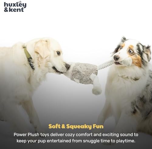 Huxley & Kent Funny Dog Toy w/Squeaker – Power Plush Squeaky Dog Toys for Small, Medium & Large Dogs – Soft Stuffed Animal for Indoor Play & Fetch - Squeak to Crunch - Lankies Binky Bunny, Small