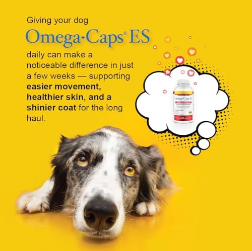 Extra Strength Omega-3 Fish Oil Supplement for Large & Giant Dogs, Skin, Coat, Joint, Heart & Immune Support, Omega-6 Fatty Acids with Antioxidants, Vet Formulated, Made in USA, 250 Softgel Capsules