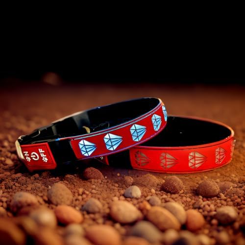 Personalized Dog Collar Waterproof airtag Dog tag Holder,USB C Light up Night Black Dog Collar (RED, L(15.7-19.7"))