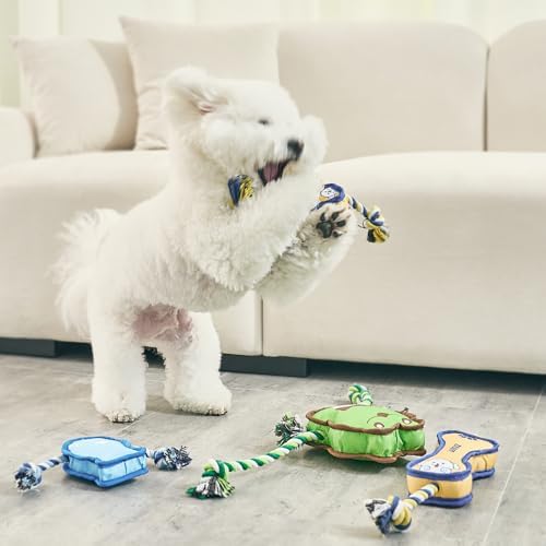 Durable Dog Toy – Interactive Rope Chew Toy with Crinkle Sound – Tough 1680D Fabric Tug Toy for Small, Medium & Large Dogs (Small, Frog)