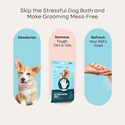 Uproot Cleaner Pro Pet Hair Remover + Clean Glove Wipes Pro (6 Pack) Set: The Ultimate Pet Hair Removal Tool for Non-Knit Surfaces & Extra-Thick Dog & Cat Wipes for Paws, Eyes, Ears, Butt & Body