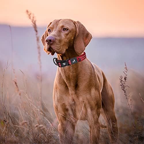 Dog Collar Bundle | Includes Small Turquoise (Width- 5/8", Neck - 8"-12") & Large Blue (Width- 1", Neck -21"-25") | Adjustable Padded Dog Collars with Heavy Duty O-Ring | Soft & Fit for Dogs