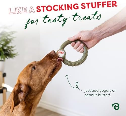 Benebone Ring Dog Chew Toy for Aggressive Chewers, Peppermint, Small