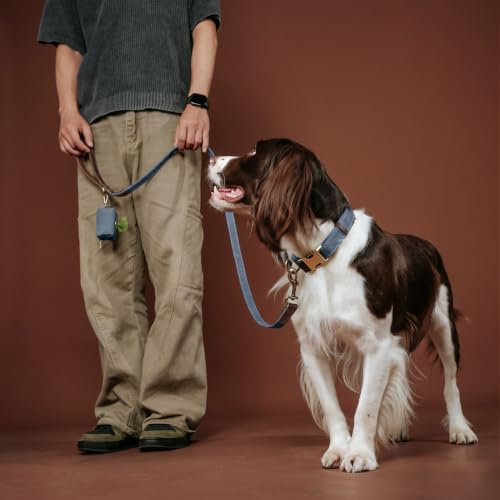 Didog PU Leather Dog Poop Bag Holder, Easy-Pull with Metal Clip, Blue