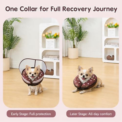 Avont 2-in-1 Dog Cone S Donut Shield