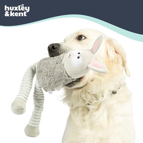 Huxley & Kent Funny Dog Toy w/Squeaker – Power Plush Squeaky Dog Toys for Small, Medium & Large Dogs – Soft Stuffed Animal for Indoor Play & Fetch - Squeak to Crunch - Lankies Binky Bunny, Small