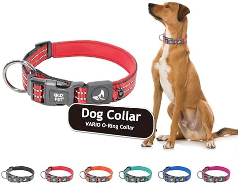 Dog Collar Bundle | Includes Red, Medium (Width- 3/4", Length - 17"-21.5") & Blue, Small (Width- 5/8", Length - 15"-17") | Padded Dog Collars with O-Ring | Soft & Comfortable Fit for Dogs