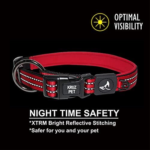 Dog Collar Bundle for Medium Dogs (Width- 3/4", Length - 17"-21.5") | Reflective Adjustable Raspberry Pink, & Blue Dog Collar | No-Choke Vest with Lightweight Reflective Air Mesh