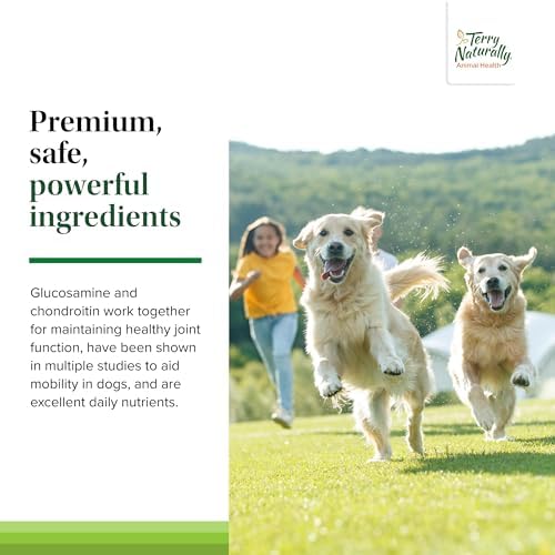Terry Naturally Animal Health Active Mobility - Health Support - 60 Count