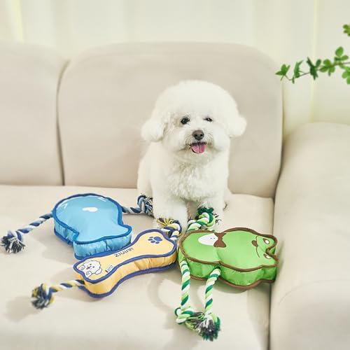 Durable Dog Toy – Interactive Rope Chew Toy with Crinkle Sound – Tough 1680D Fabric Tug Toy for Small, Medium & Large Dogs (Small, Frog)