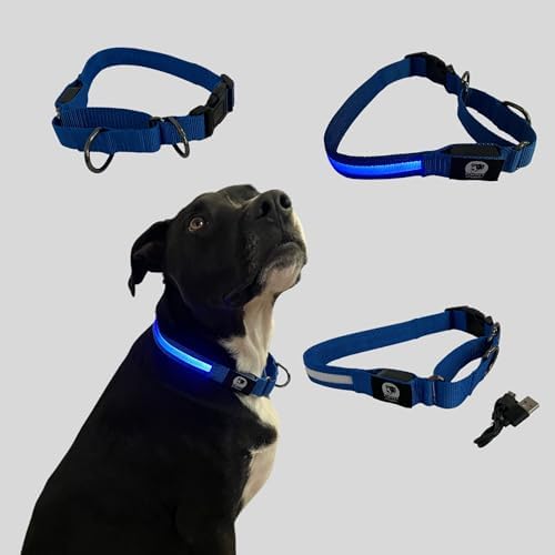 Light-Up Martingale Training Adjustable Dog Puppy Collar - REMIPET - Waterproof, LED Illuminated, USB Rechargeable, Reflective Safety, Durable, Nylon, Gift (Blue, Medium)