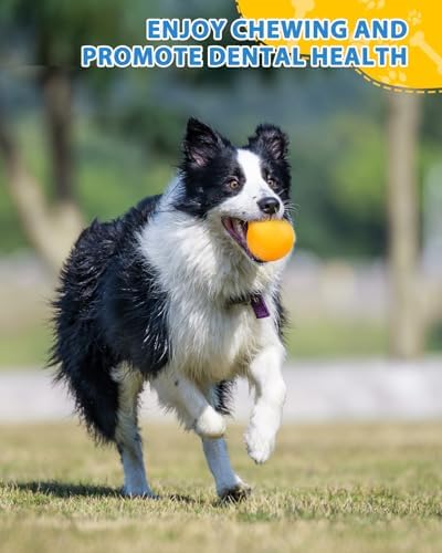 SCHITEC Dog Balls Indestructible, [2 Pack] Solid Rubber Bouncy Fetch Ball for Aggressive Chewers, Durable Chew Toy for Medium Large Dogs
