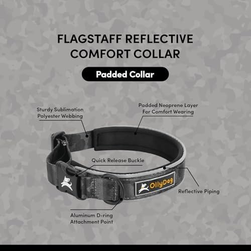 OllyDog Flagstaff Reflective Comfort Collar, Neoprene Padded Dog Collar, Reflective Trims for Night Runs, Extra Comfort for Active Dogs (Large, Dream Camo)