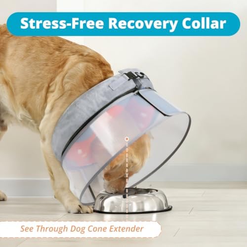 Inflatable Dog Cone with Anti-Licking Clear Shield,Fits Medium Dogs