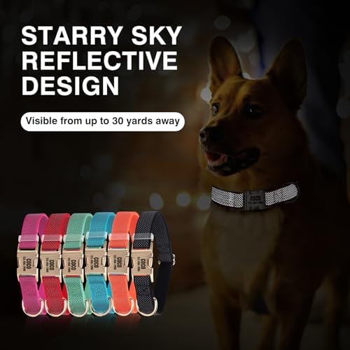 Personalized Reflective Nylon Dog Collar with Name, Red