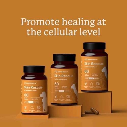 Animal Biome Skin Rescue SM Dog & Cat Probiotic Itch & Allergy Relief 60ct