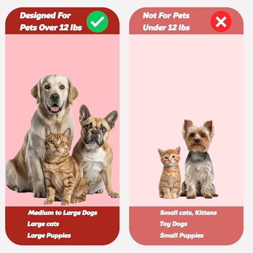Pet Toothbrush for Dogs, Cats with Soft Bristles - Easy Teeth Cleaning & Dental Care, Non Slip Dual Head Dog Toothbrush for Medium & Large Pets, Toothpaste Not Included, Pack of 1 Red
