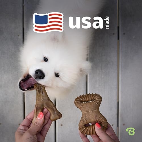 Benebone Tiny 2-Pack Dog Chew Toys, Real Bacon