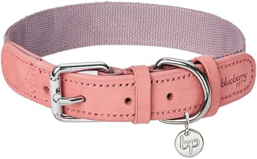 Blueberry Pet 3 Patterns Southwestern Modern Tribal Print Genuine Leather & Polyester Fabric Combo Dog Collar with Metal Buckle - Thistle Braided, Small, Neck 12"-15"