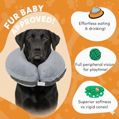 PAWRELIEF Soft Inflatable Dog Cat Cone Collar – Pet Recovery & Protective Dog Neck Collar for Large Dogs Cats to Prevent Scratching, Licking (Gray, Large)