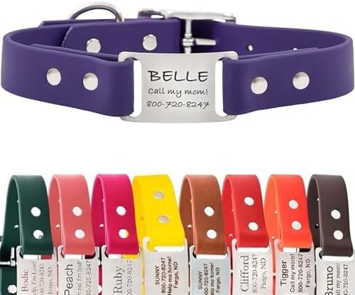 dogIDs Personalized Dog Collar – ScruffTag Custom Waterproof Biothane Dog Collar with Laser-Engraved Name, Durable & Odor-Resistant – USA Made | Purple, 3/4 in x 14 in (Fits Neck Sizes 12-16 in)