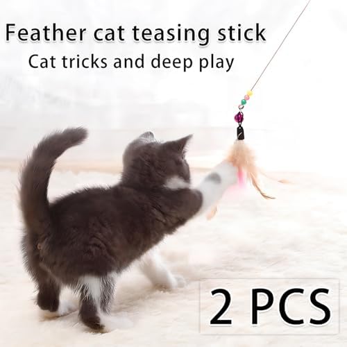 2 PCS Cat Toys Interactive for Indoor Cats