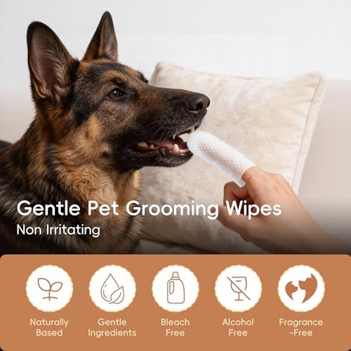Dog Finger Cleaning Wipes, 60 Pcs Pet Dental Cleaning Finger Wipes Tooth Brushing Kit for Dogs Cats Plaque Tartar Remove, Dog Healthy Mouth Toothbrush Wipe for Pets Oral Care, Coconut Oil