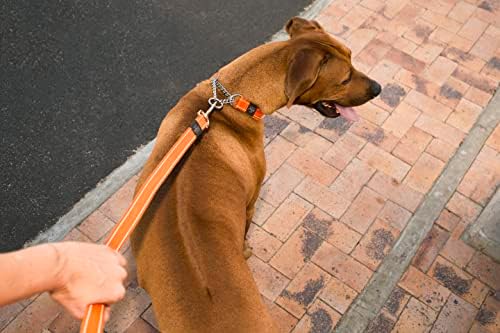 Reflective Nylon Choke Collar; Slip Show Obedience Training Gentle Choker for Large Dogs, Pink