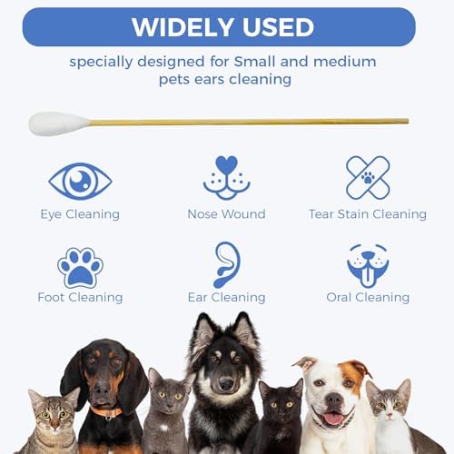 GOLD HONEY 6 Inch Large Cotton Swabs, Dog Ear Swabs with Bamboo Handle