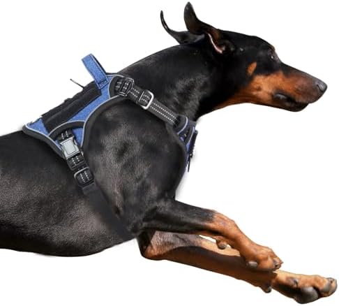 BUMBIN Tactical Dog Harness for Small Dogs No Pull, Famous TIK Tok No Pull Puppy Harness, Fit Smart Reflective Pet Walking Harness for Training, Adjustable Dog Vest Harness with Handle Denim Blue XL