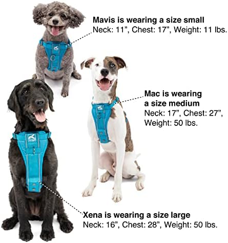 Kurgo Tru-Fit Smart Harness, Blue, Extra Small
