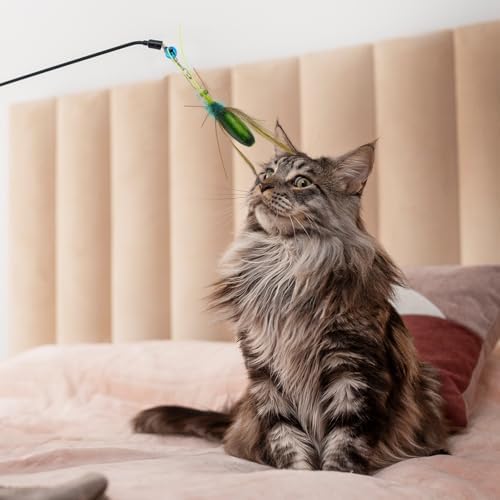 Cat Insect Feather Toys Replacement Cat Toy Wand Refills, 6 Pieces Natural Insect Cat Toy Feathers Refill, Interactive Cat Teaser Wand Attachments, with Bell(Style 8)