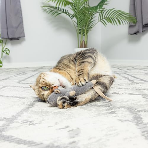 SPOT Flat Mouse Frankie with Catnip - Cat Toy, Fuzzy Mice with Catnip and Crinkle Sound, Perfect Size for Pouncing on, Chasing, Hunting - 5.5in Plush Toys, Assorted Colors (Pack of 2)