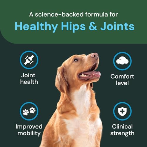 VETRISCIENCE Veterinary Strength Healthy Hip & Joint Chews, 60 Count