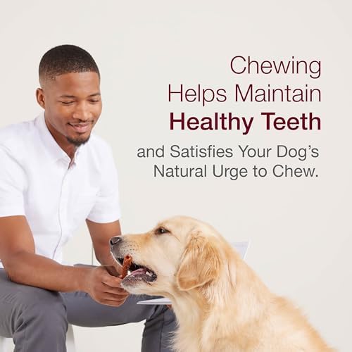SmartBones Mini Bones Rawhide-Free Dog Treat, With Real Chicken, 16 Count