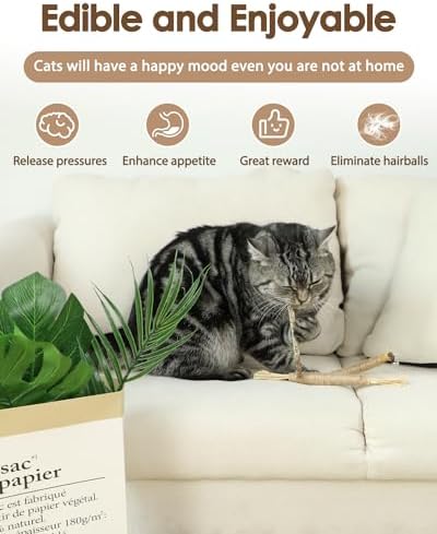 Tocirelo Natural Silvervine Chew Sticks for Cats with Catnip and Feathers