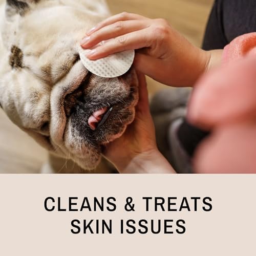 Eye Envy Bulldog Wrinkle Cleaner & Nose Care Kit. Bulldog Wrinkle Wipes, Tear Stain Powder, Applicator Brush & Dog Nose Balm. Cleans Skin Folds. Removes Stains. Helps Cracked Noses. Made in USA