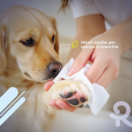 Record Wet Wipes for Dogs and Cats, Cleaning Wipes for Dogs and Cats, Pack of 80 - Cleaning Wipes for Animals, Paws, Snout and Eyes, Respect Skin and PH. Aroma Powder