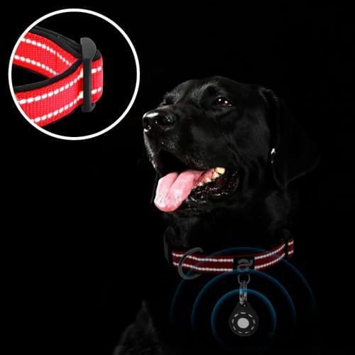 azuza Airtag Dog Collar, Puppy Collar with Airtag Holder, Red, XS
