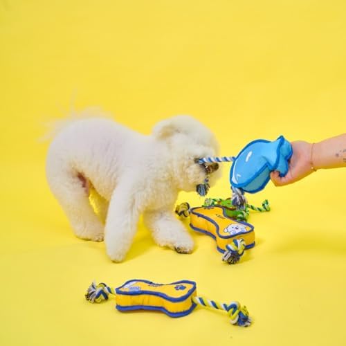 Durable Dog Toy – Interactive Rope Chew Toy with Crinkle Sound – Tough 1680D Fabric Tug Toy for Small, Medium & Large Dogs (Small, Frog)